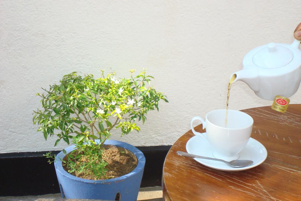 Blue Seas Guest House Dehiwala-Mount Lavinia Eksteriør billede