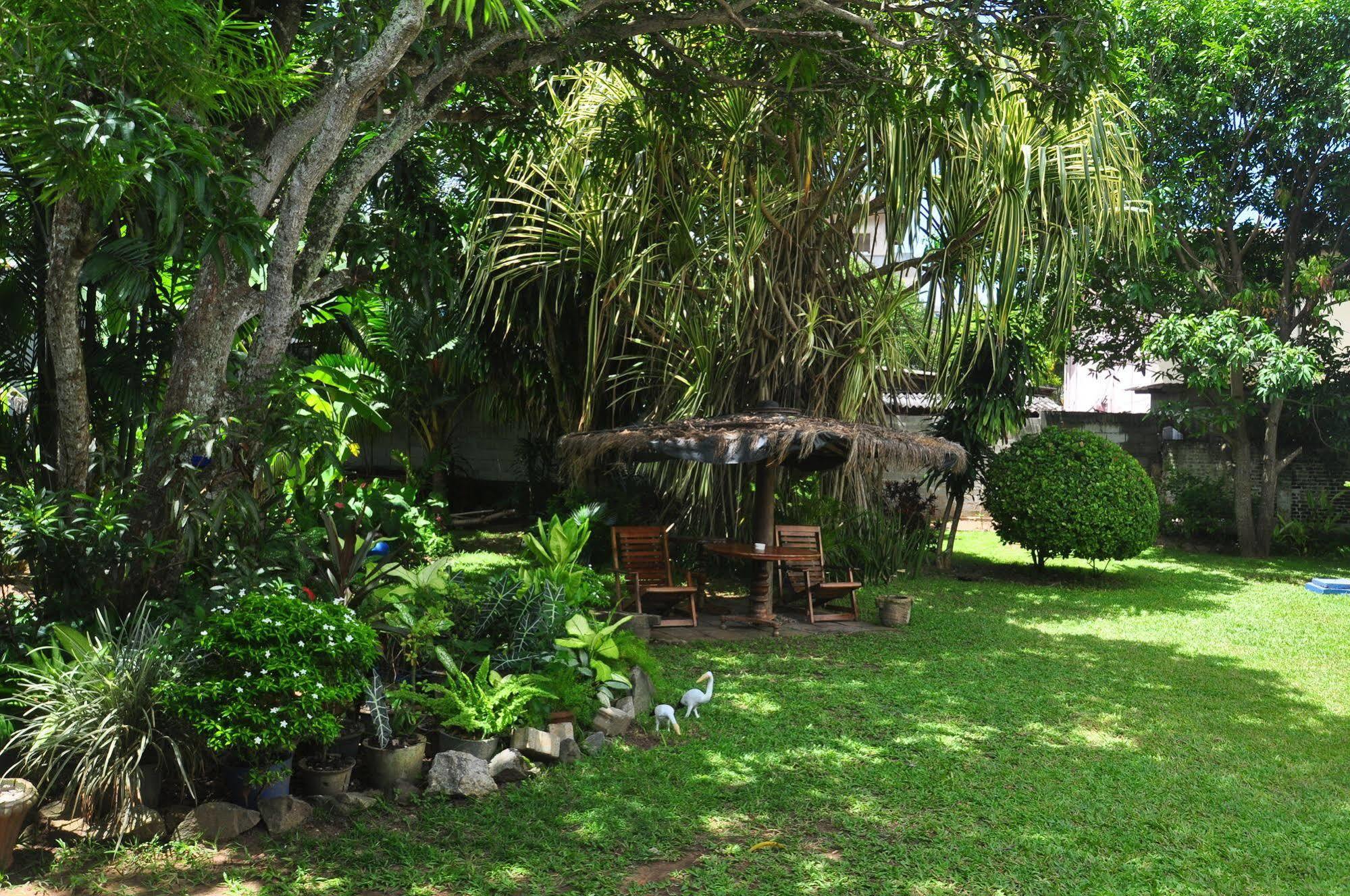 Blue Seas Guest House Dehiwala-Mount Lavinia Eksteriør billede